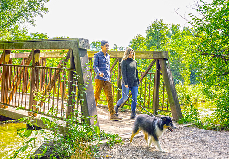 Dog walkers in Lions Valley Park