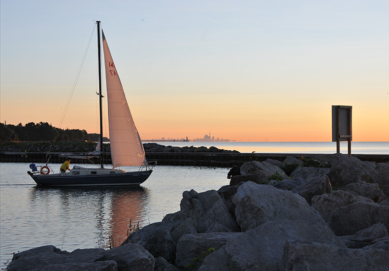 Sail boat in a harbour with Toronto skyline