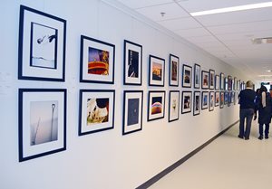 Framed photos from the Oakville Camera Club displayed on the walls of a corridor.