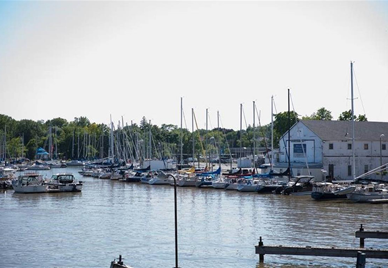 Bronte Inner Harbour Video/Image