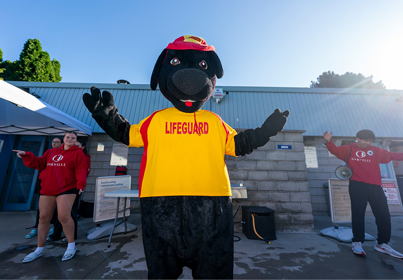 Outdoor swimming pool lifeguards and lifeguard dog mascot