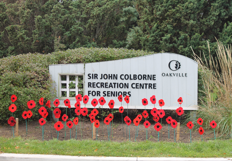 The Poppy Project at Sir John Colborne