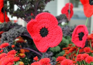 A closer look at one of the poppies on display. A closer look at one of the poppies on display.