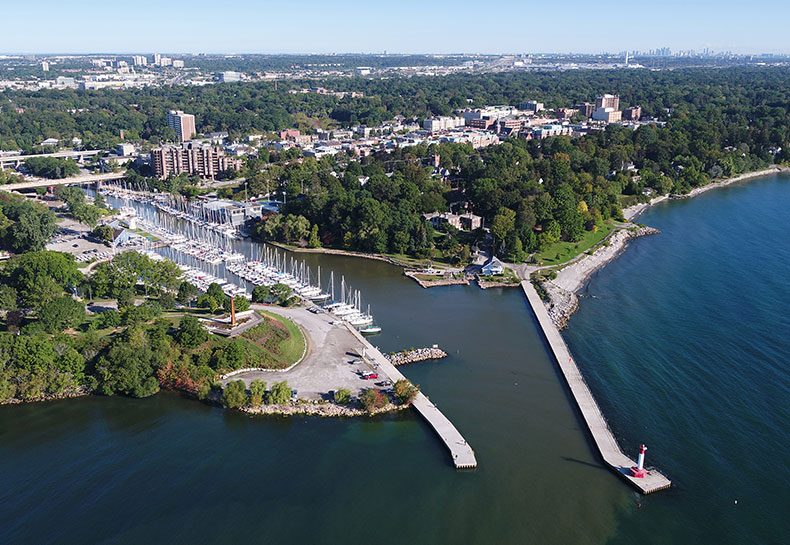 Aerial view of a harbour Video/Image