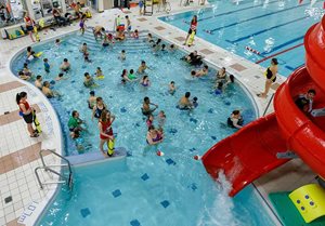 Ward 6 Iroquois Ridge Community Centre Pool