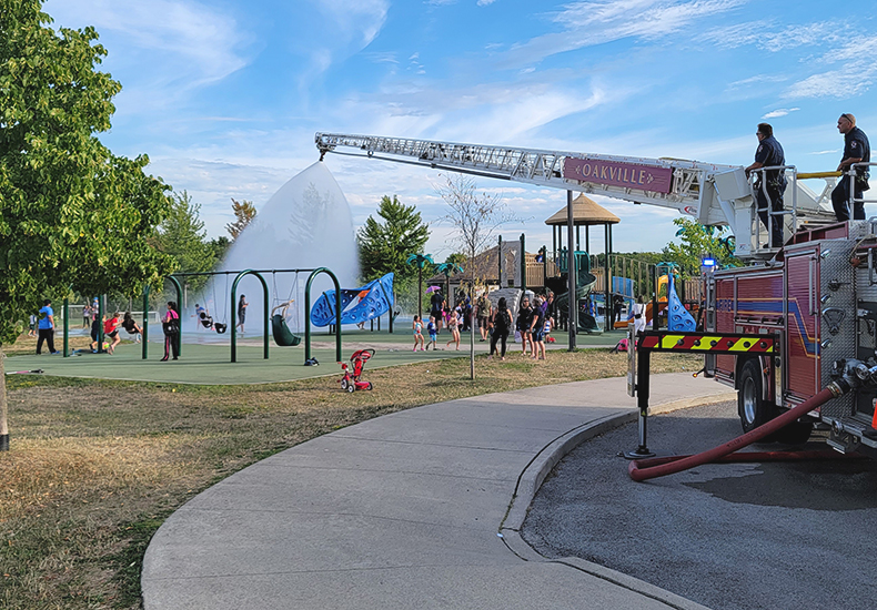 Sparky's Dog Days of Summer!