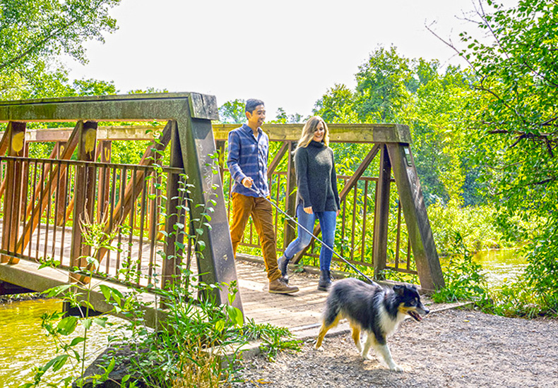Dog walkers in Lions Valley Park Dog walkers in Lions Valley Park