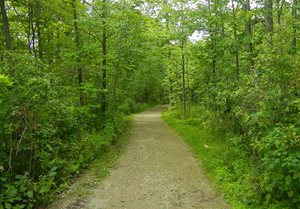 Ward 6 Iroquois Shoreline Wood Trail