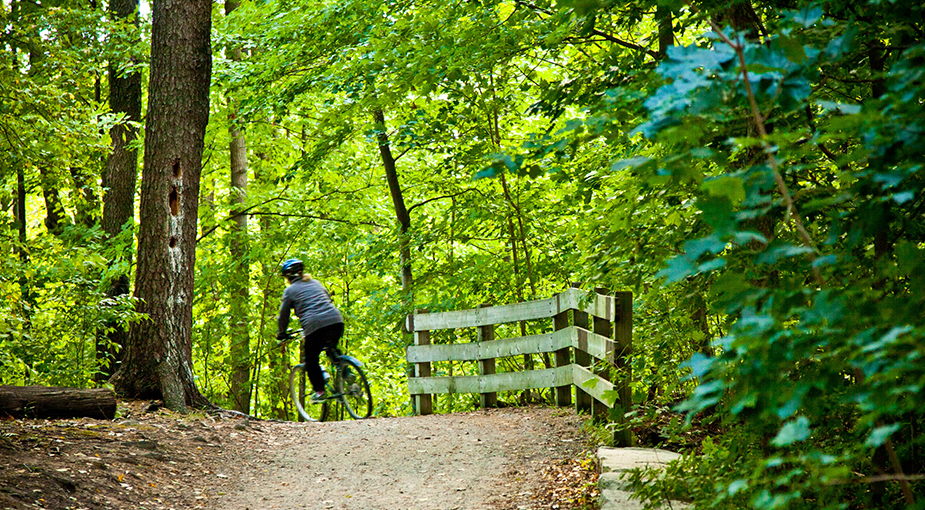 Cyclist on a trail Cyclist riding away on a forest trail.