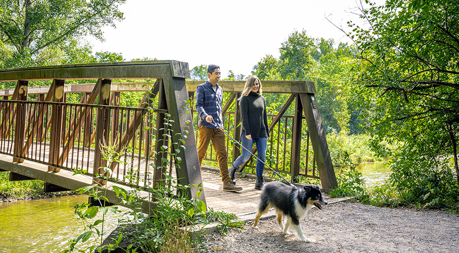 Lions Valley Park bridge